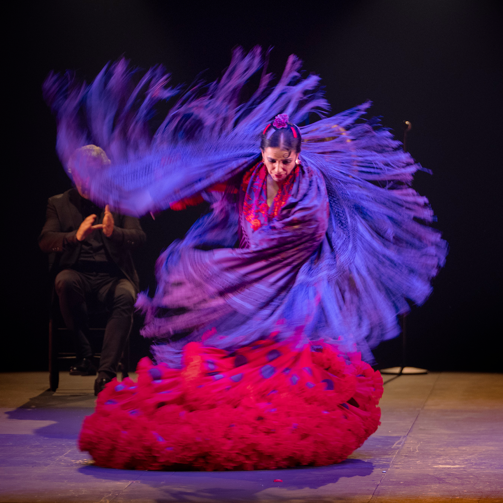 A flamenco dancer performing onstage at the Flamenco Festival