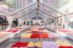 Cj Hendry's Flower Market