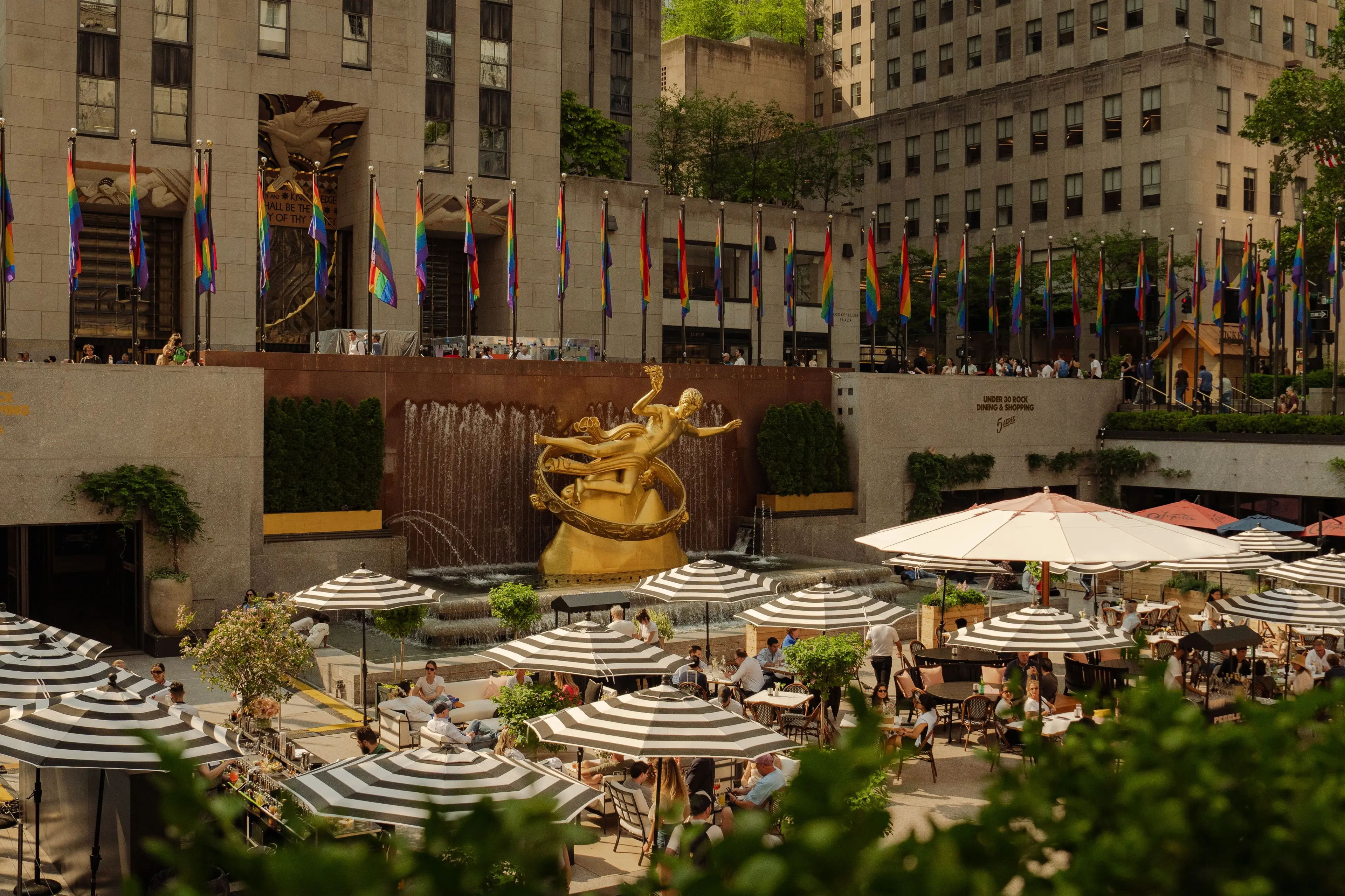 Rock Center