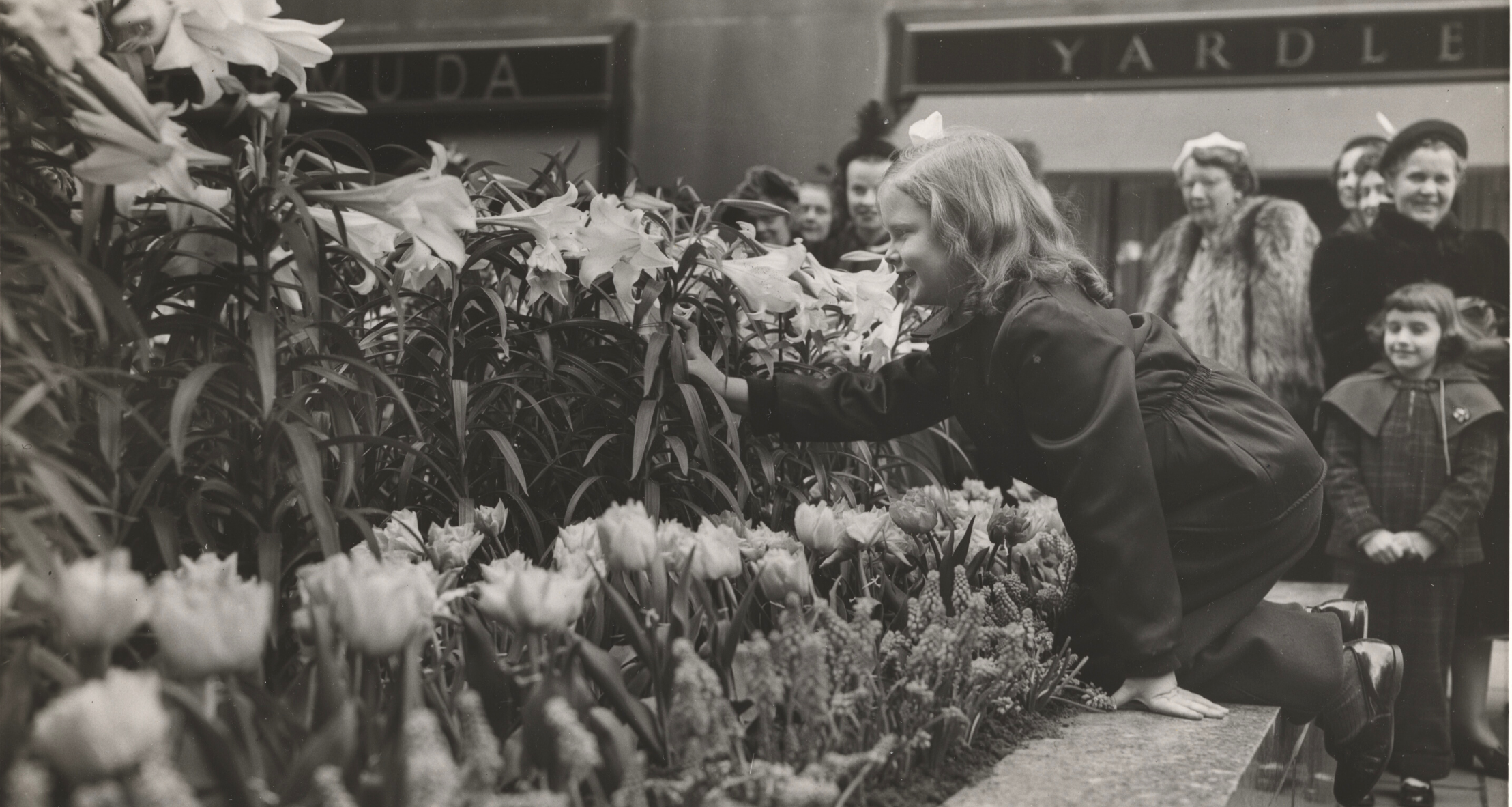 A little girl touches a display of Easter lilies and yellow tulips in the Channel Gardens.