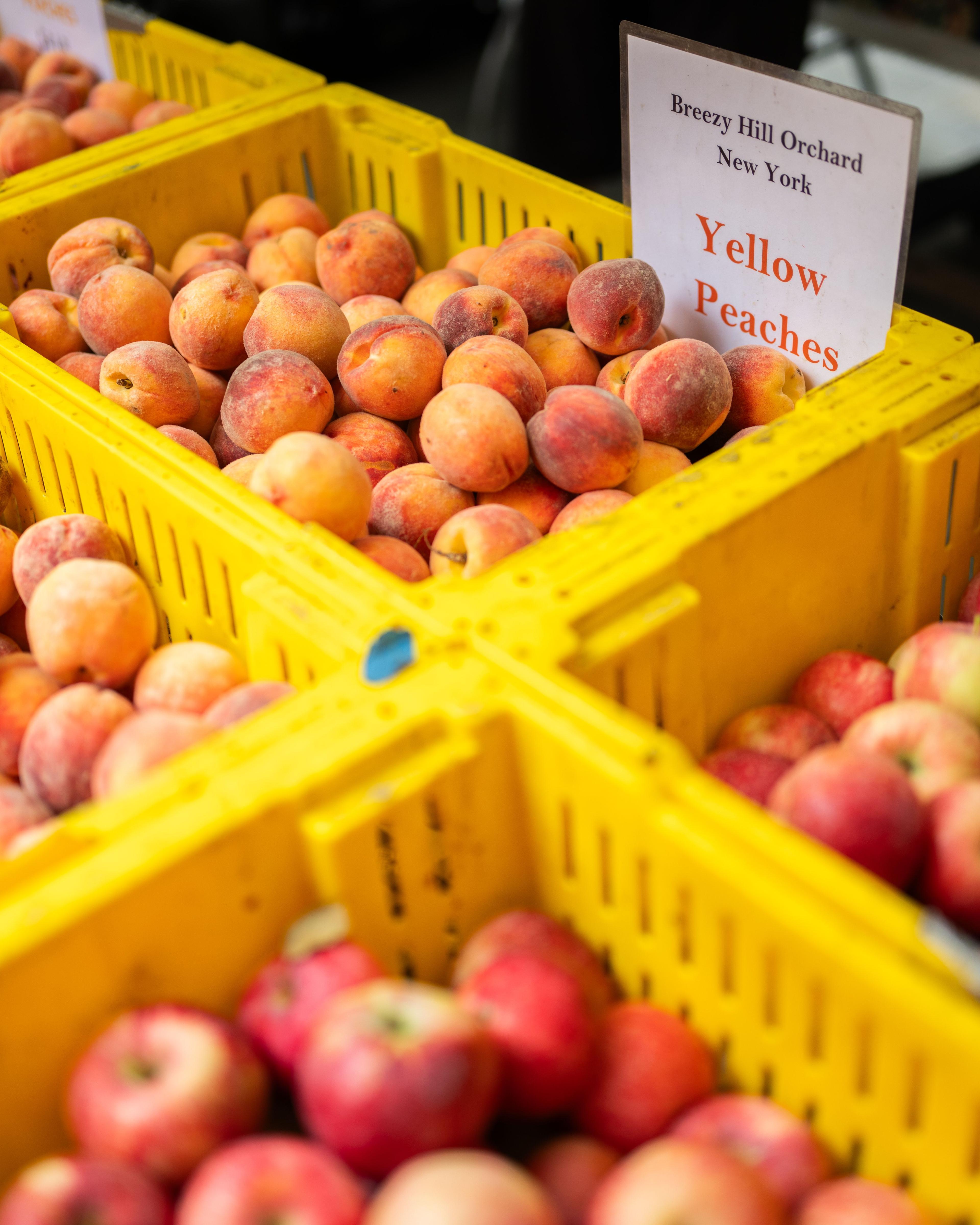 fresh product from greenmarket
