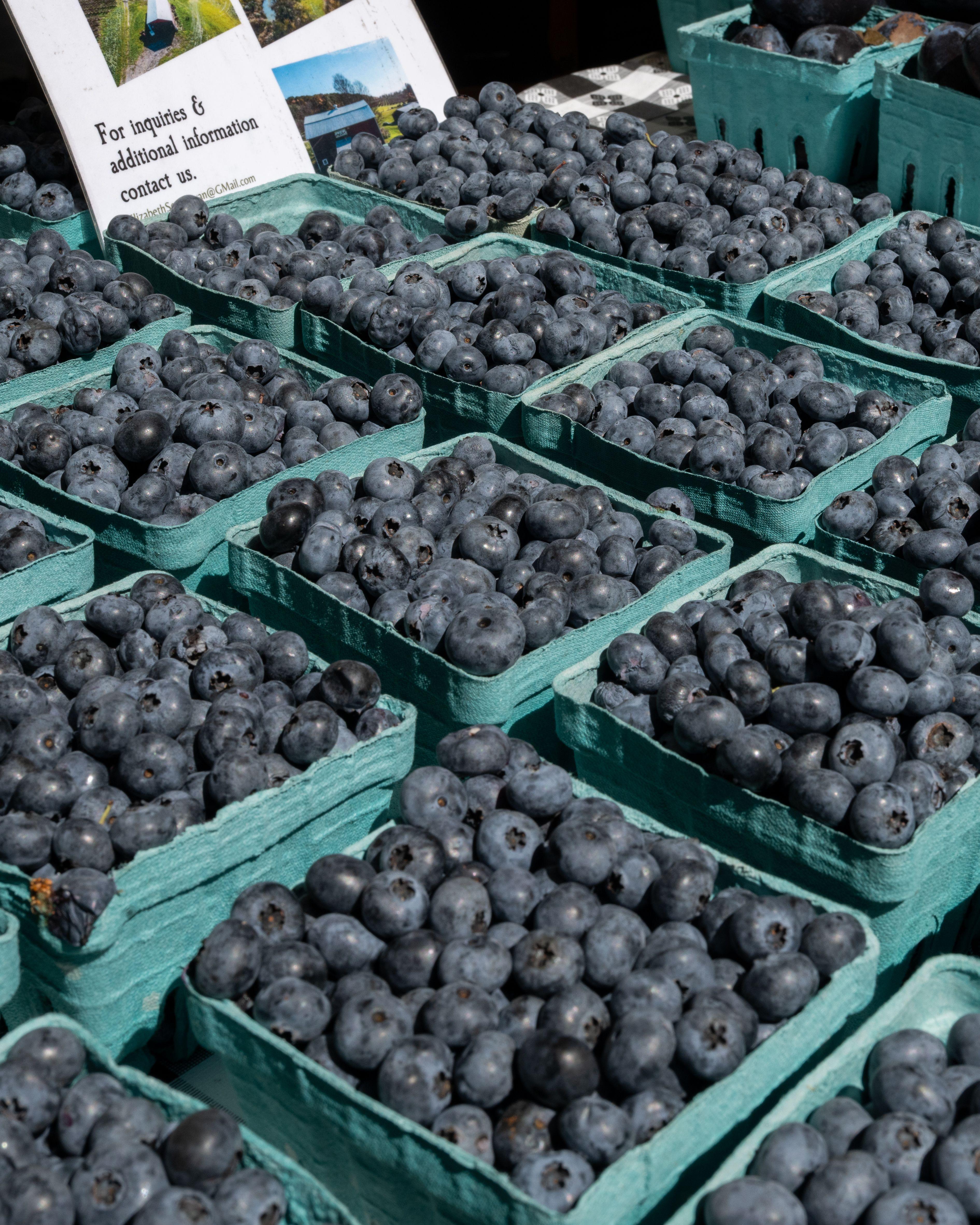 fresh product from greenmarket