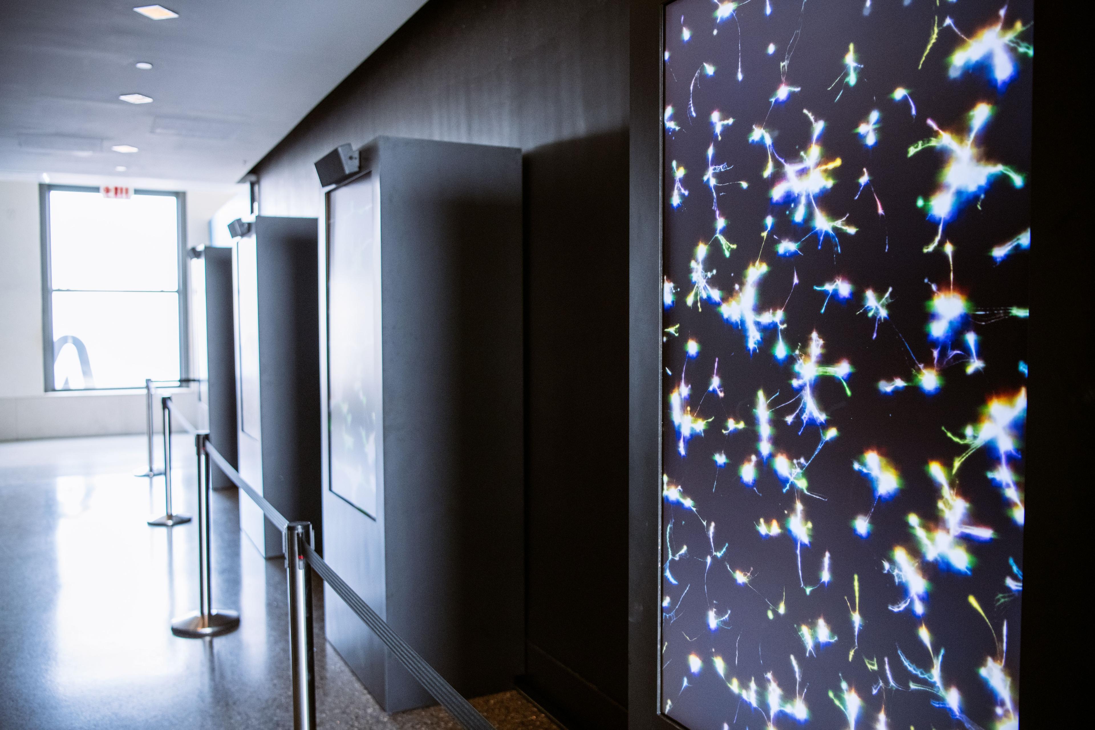 Screens displaying the "Progressive Perspectives" NFT installation at Top of the Rock's "New Frontiers" art exhibit