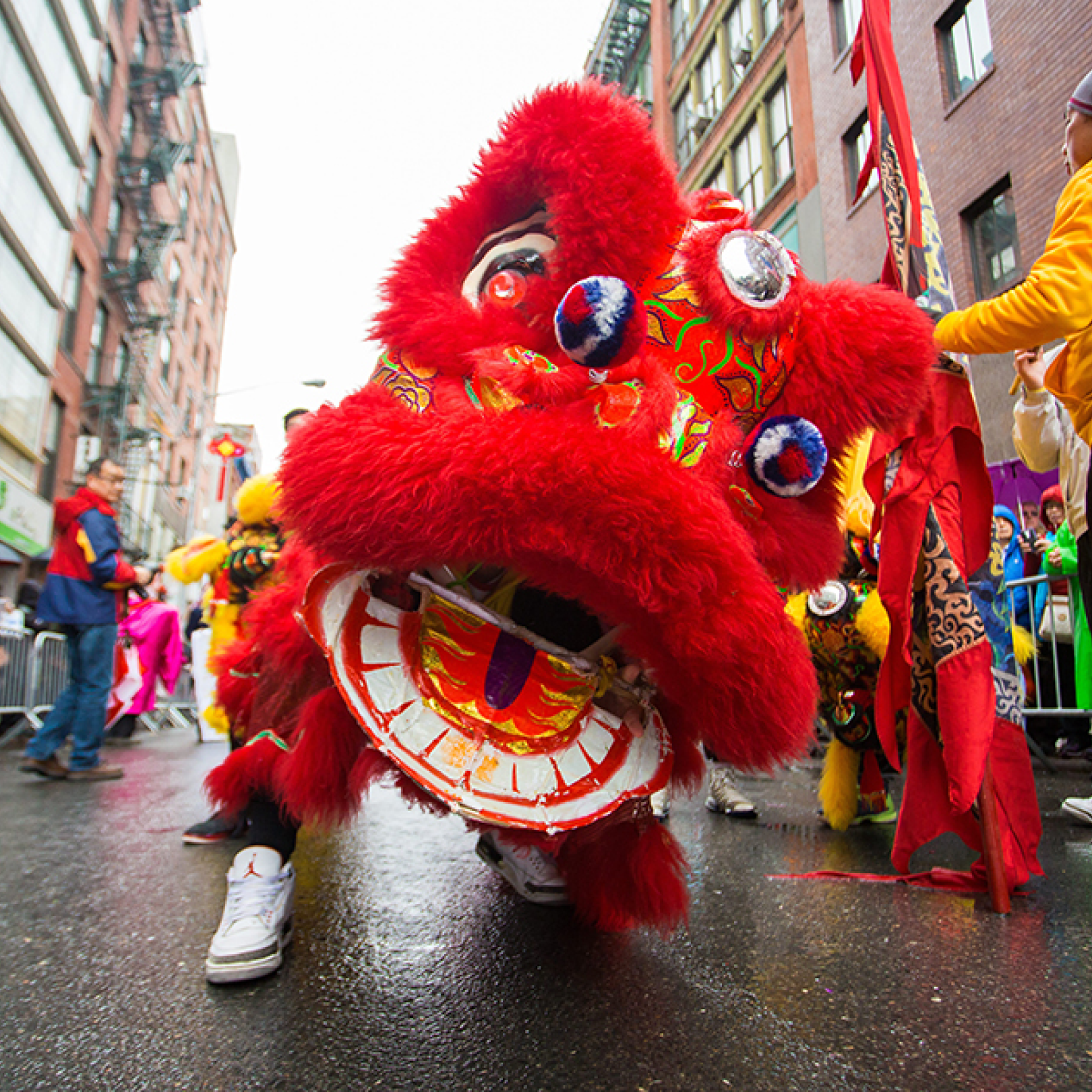 A person dressed in a dragon costume as part of New York City's Lunar New Year Parade
