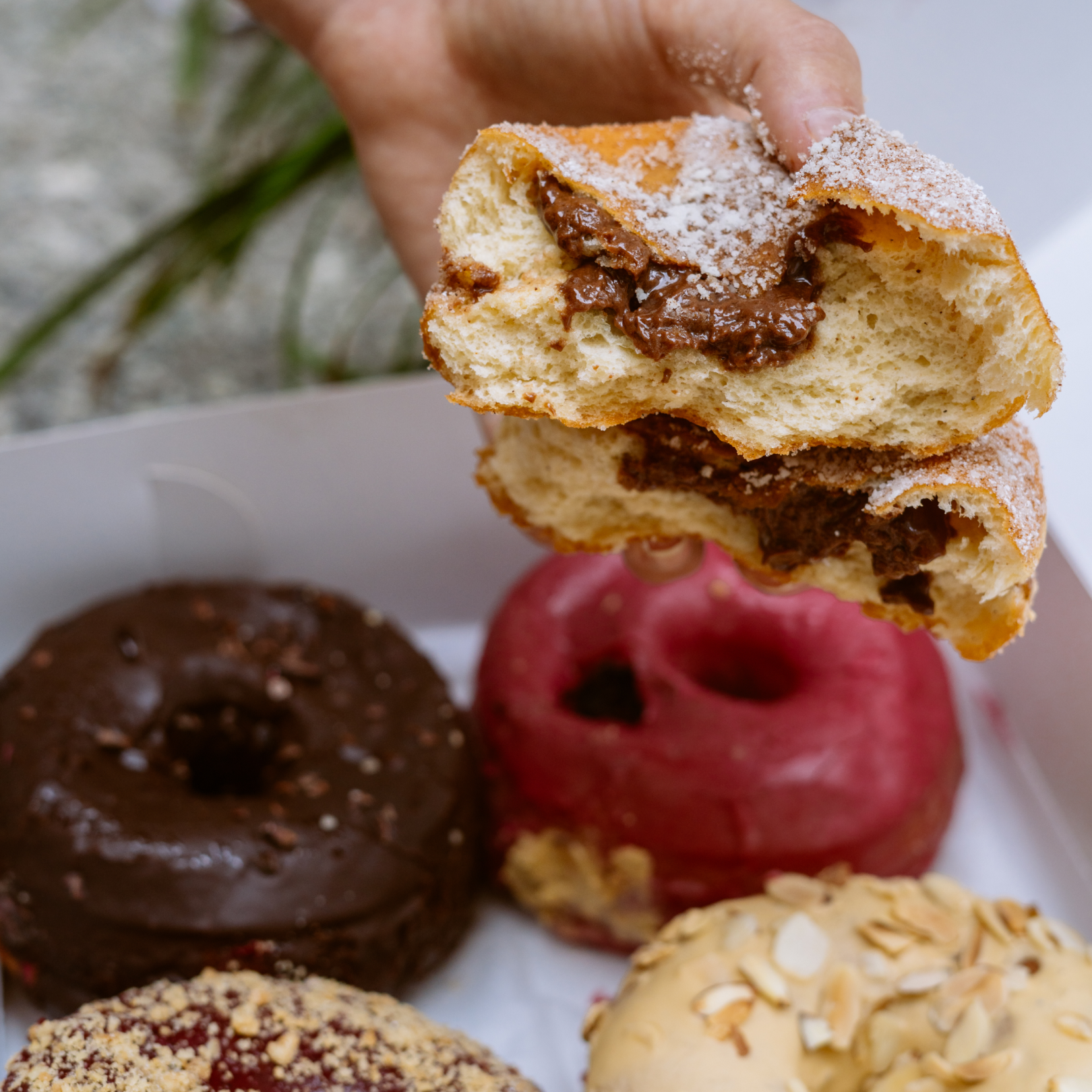 A box of donuts from Dough Doughnuts at Rockefeller Center