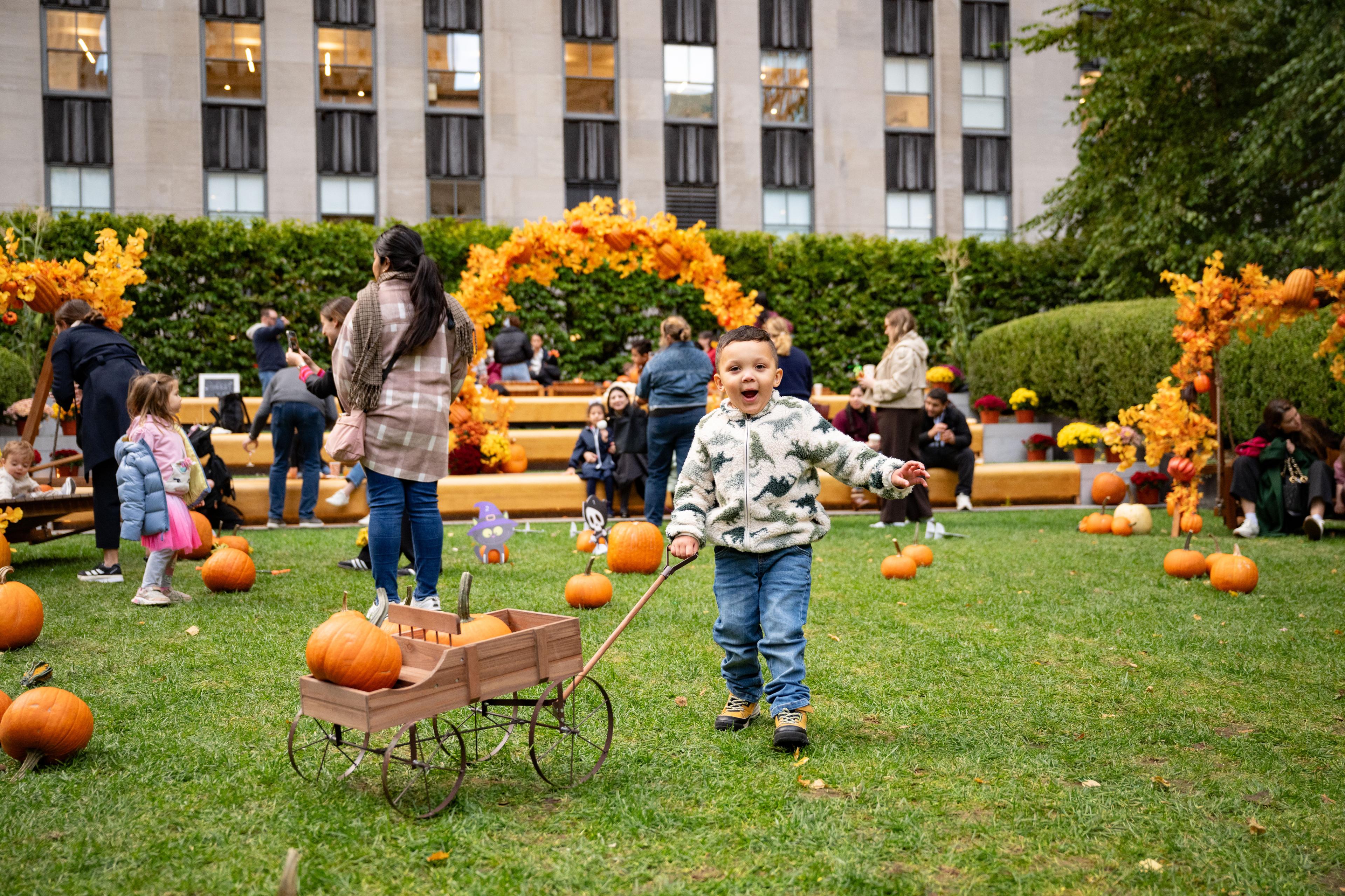 fall for the city