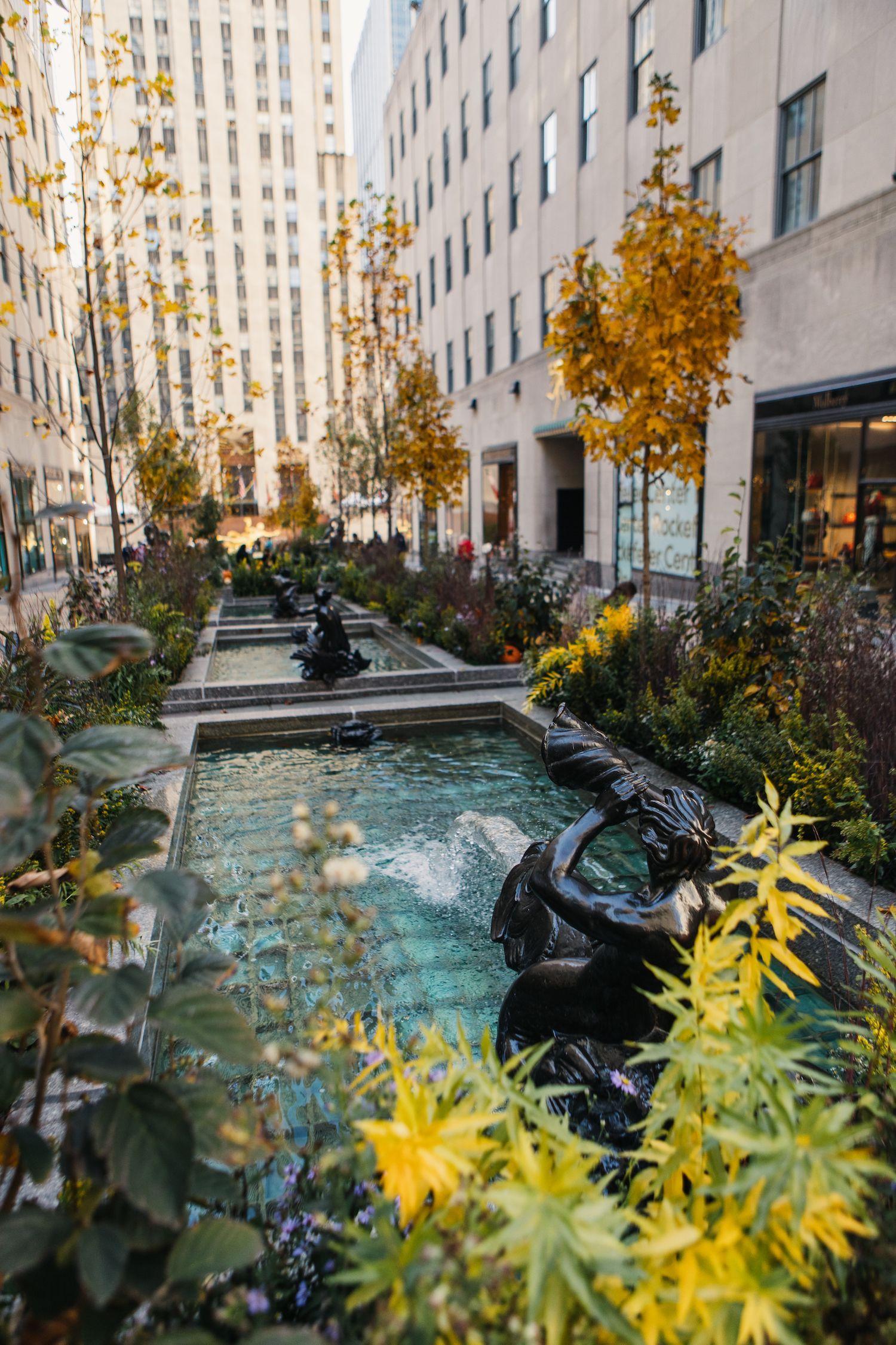 Image of the Channel Gardens in the fall