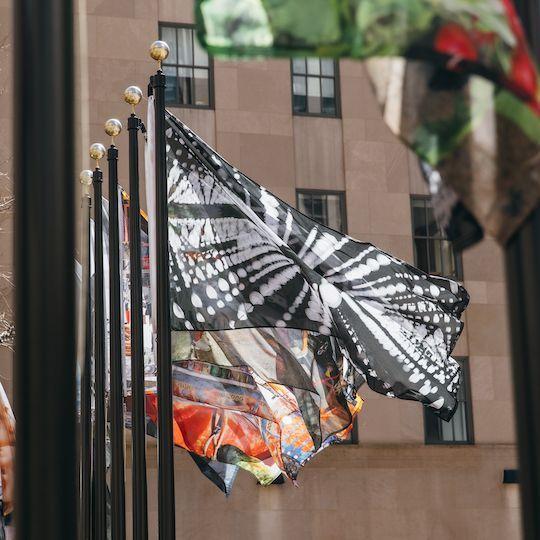 Flags on display at Rockefeller Center