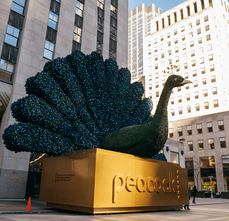 Peacock Tree at Center Plaza